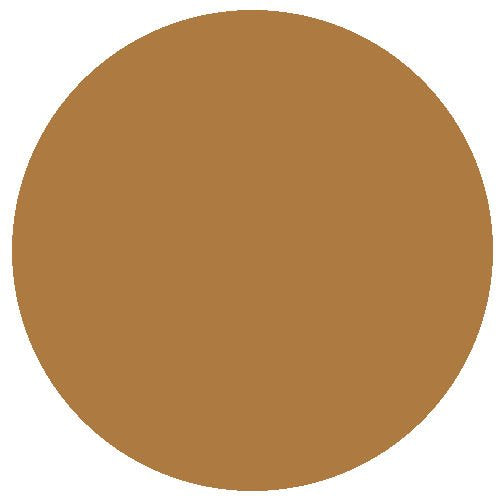 RailMatch 2416 Brake Dust 18ml Acrylic Paint