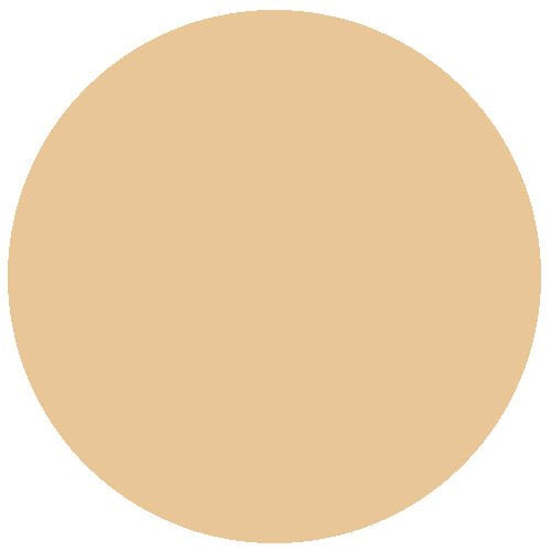 RailMatch 2425 New Stone 18ml Acrylic Paint