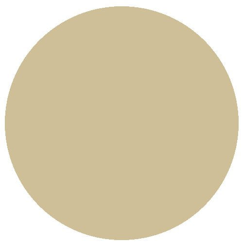RailMatch 2312 BR Cream 18ml Acrylic Paint