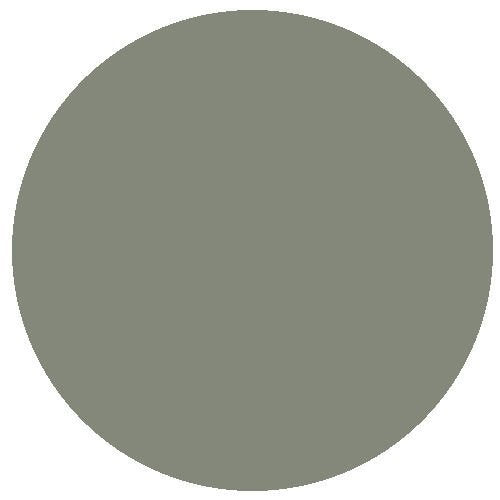 RailMatch 2403 Roof Dirt 18ml Acrylic Paint