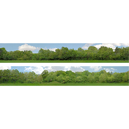 Art Printers N Gauge Trees 9" High Backscene N149A