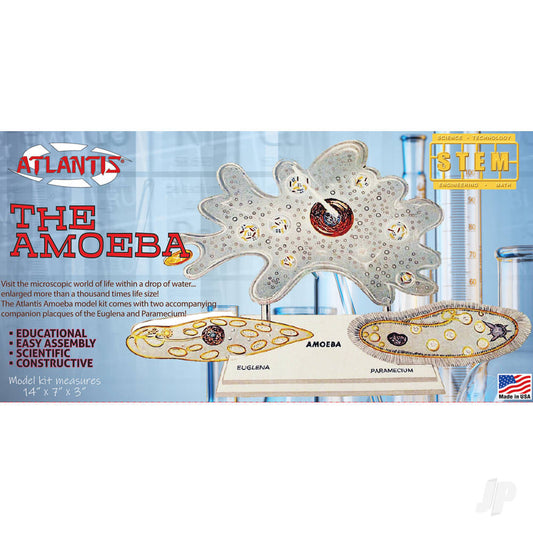 Atlantis Models Amoeba Single Cell Model Kit STEM CL3800