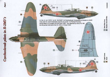 AML C8021 Czechoslovak Pilots in Ilyushin Il-2m3 Part I 1:48