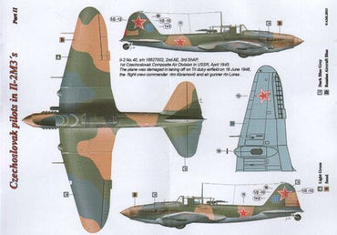 AML C9015 Czechoslovak Pilots in Ilyushin Il-2m3 Part II 1:72