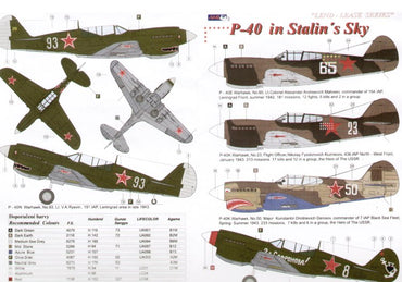 AML AMLD72019 1:72 Lend-Lease Curtiss P-40s in Soviet Service