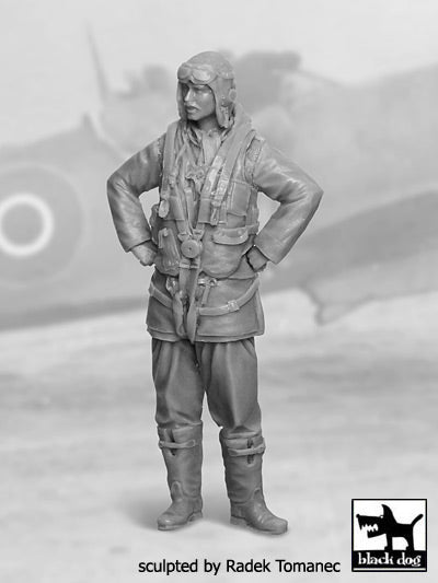 Blackdog BDF32029 1:32 RAF Fighter pilot 1940-45 N deg 2