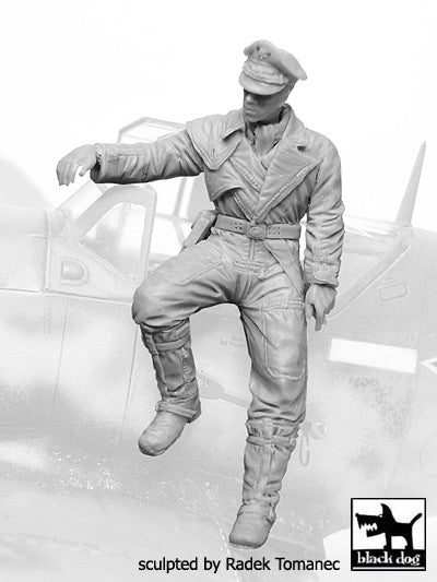 Blackdog BDF32066 1:32 German Luftwaffe pilot N deg 6