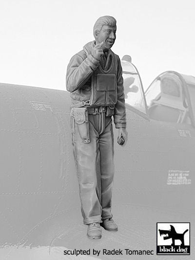 Blackdog BDF32136 1:32 USAAF Fighter pilot 1940-45 N deg 2