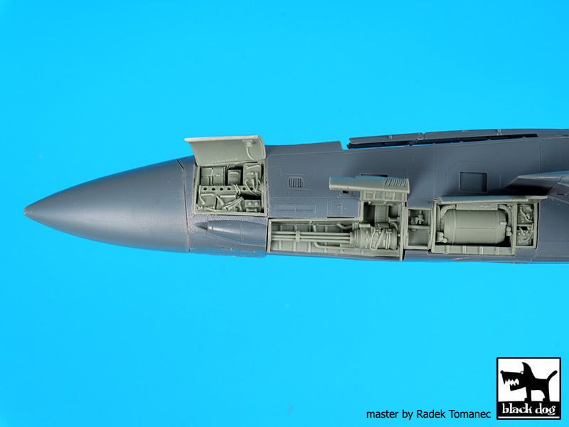 Blackdog BDOA48100 1:48 Grumman F-14D Tomcat left electronics and canon