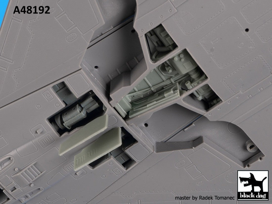 Blackdog BDOA48192 1:48 Dassault_Mirage 2000 cannons + radar