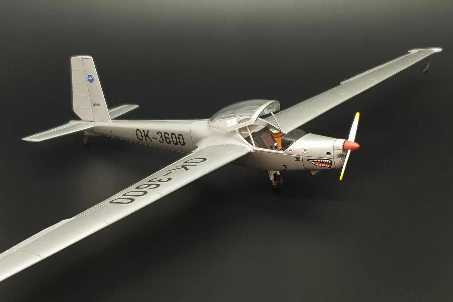 Brengun BRP48010 1:48 L-13SE VIVAT AKVY TMG plane
