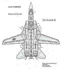 CAM CAM32116 1:32 Grumman F-14 Tomcat Low Visibility Data inc National Insignia