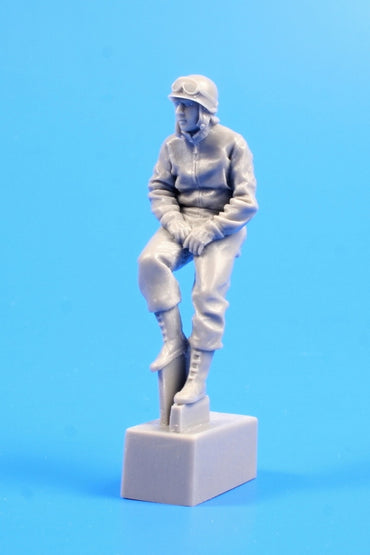CMK/Czech Master Kits CMF35258 1:35 U.S