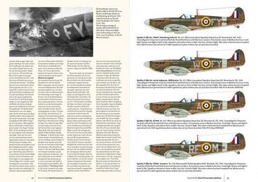 Dutch Profile DDP42 Dutch Presentation Spitfires