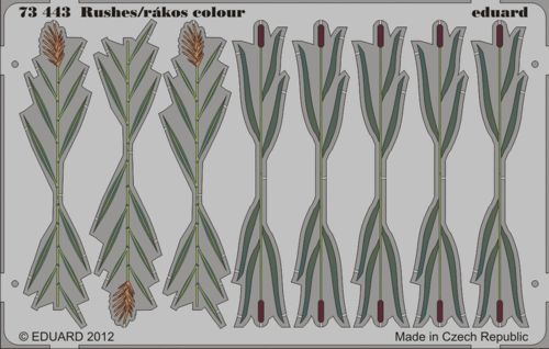 Eduard ED73443 1:72 Bull rushes x 2 types