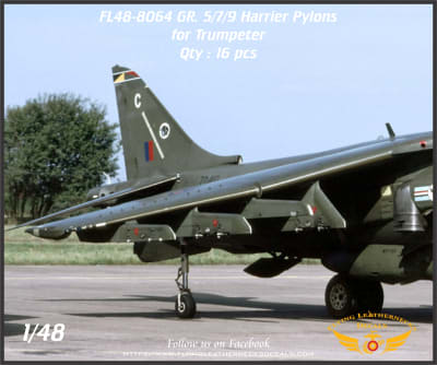 Flying Leathernecks FL48-8064 Harrier GR.5/7/9 Weapons Pylons 1:48