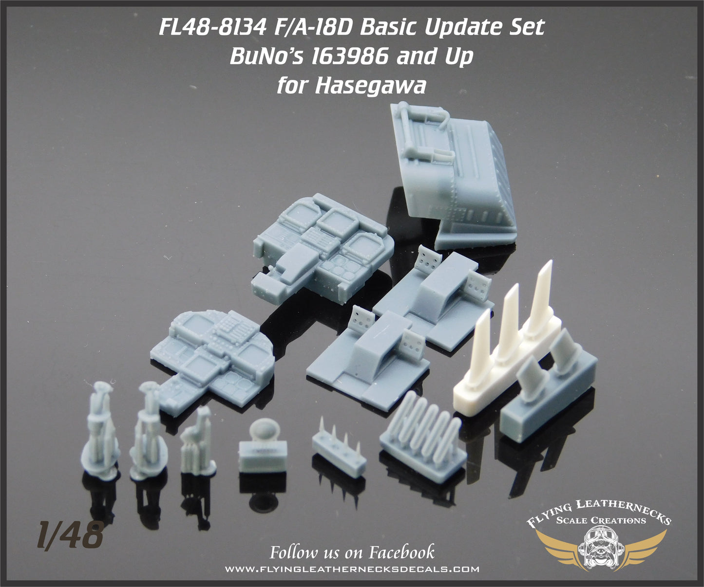 Flying Leathernecks FL48-8134 1:48 Lockheed-Martin F/A-18D Basic Cockpit Update