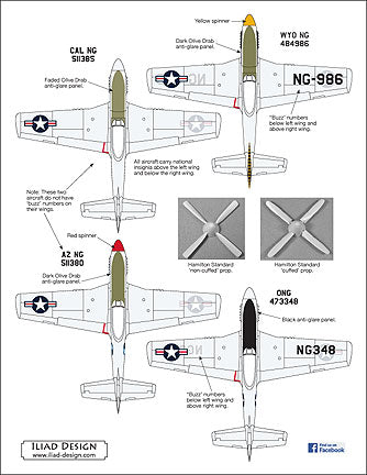 Iliad Design ILD48038 ANG P-51 Mustangs Part 3 Unusual Schemes 1:48