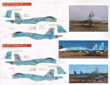 Linden Hill LHD48034 1:48 Belarusian Flankers