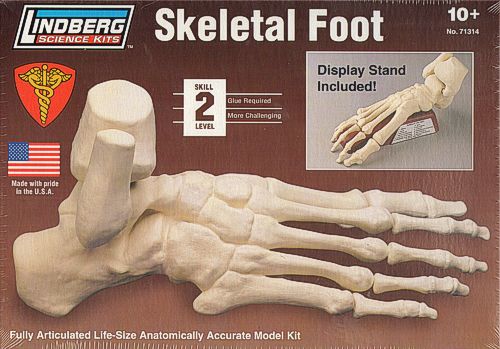 Lindberg LI71314 1:01 Skeletal Foot