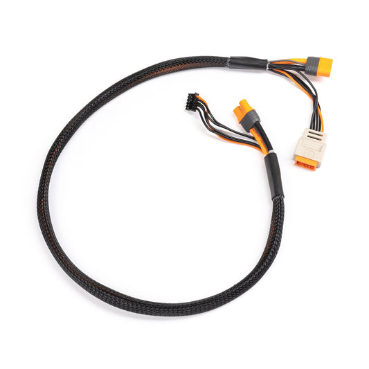 Spektrum Charge Lead with Balance Extension 24" IC3, 2-6S SPMX-1011