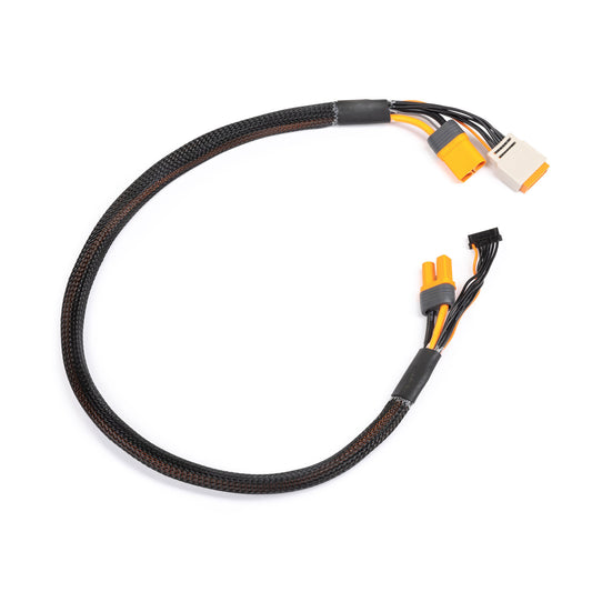 Spektrum Charge Lead with Balance Extension 24" IC5, 2-4S SPMX-1013