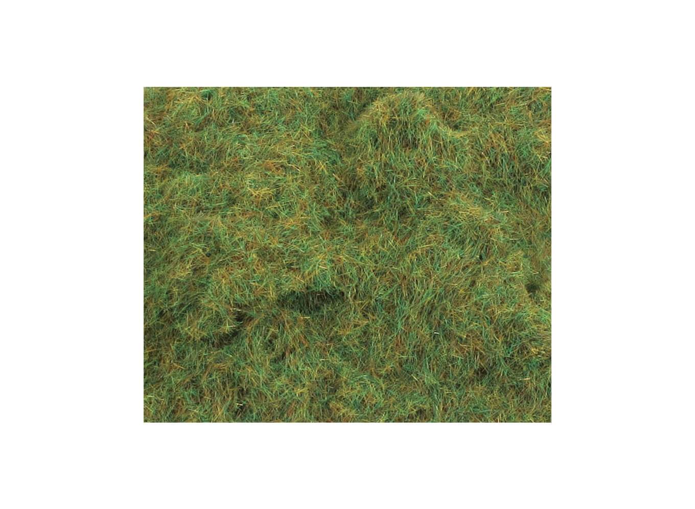 PECO PSG-222 2mm Summer Grass