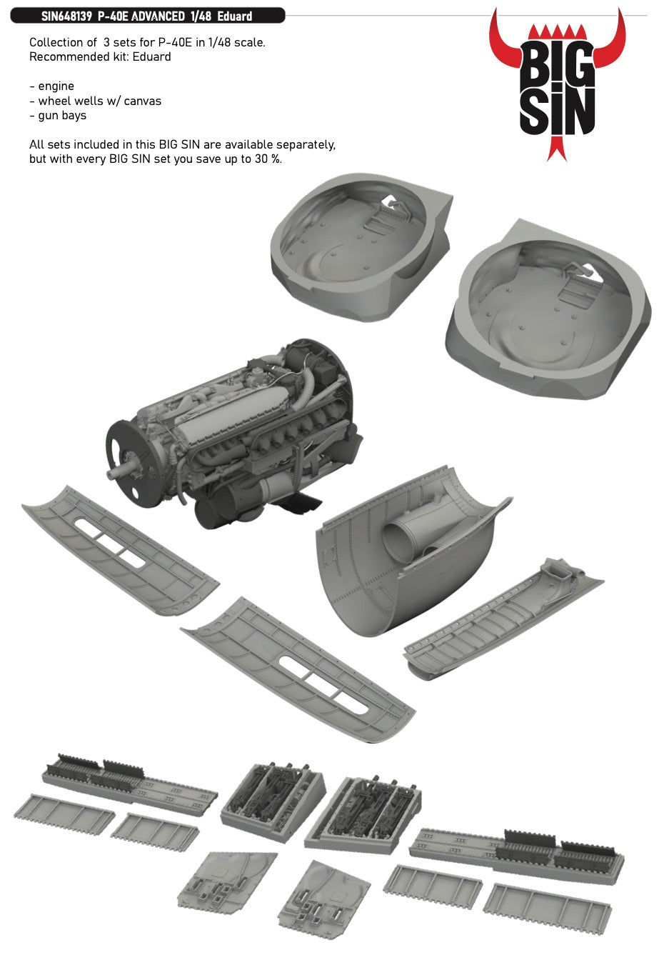 Eduard Brassin SIN648139 Curtiss P-40E Warhawk ADVANCED 1:48