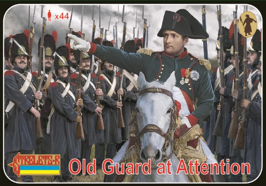Strelets STR17172 1:72 Old Guard Standing at Attention