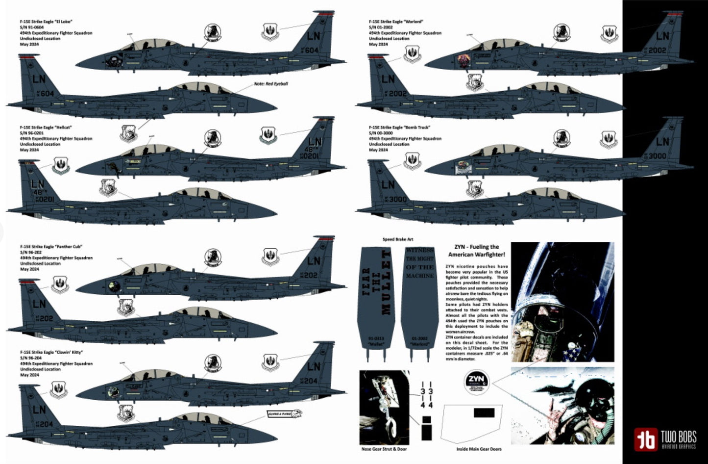 Two Bobs TB72112 F-15E Black Panther Drone Killers 494th EFS 1:72