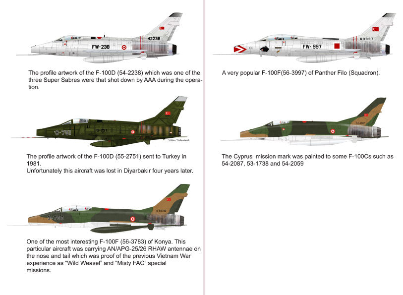 Tigerhead THD72023 Turkish Huns North-American F-100C/D/F 1:72