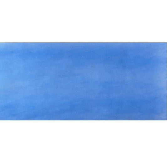 Royal Max Replacement Filter for AH-310 Spray Booth