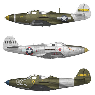 Arma Hobby 40013 P-39 Airacobra Recon 1:48 Model Kit