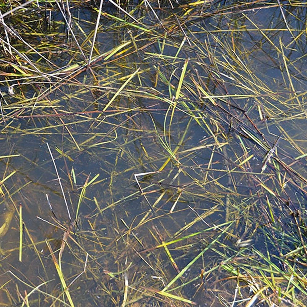 AK Interactive 8008 Diorama: Still Water Self-Levelling Liquid 250ml