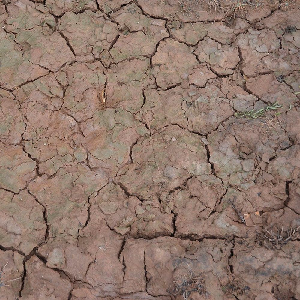 AK Interactive 8034 Diorama: Wet Crackle Effects - 100ml (Acrylic)