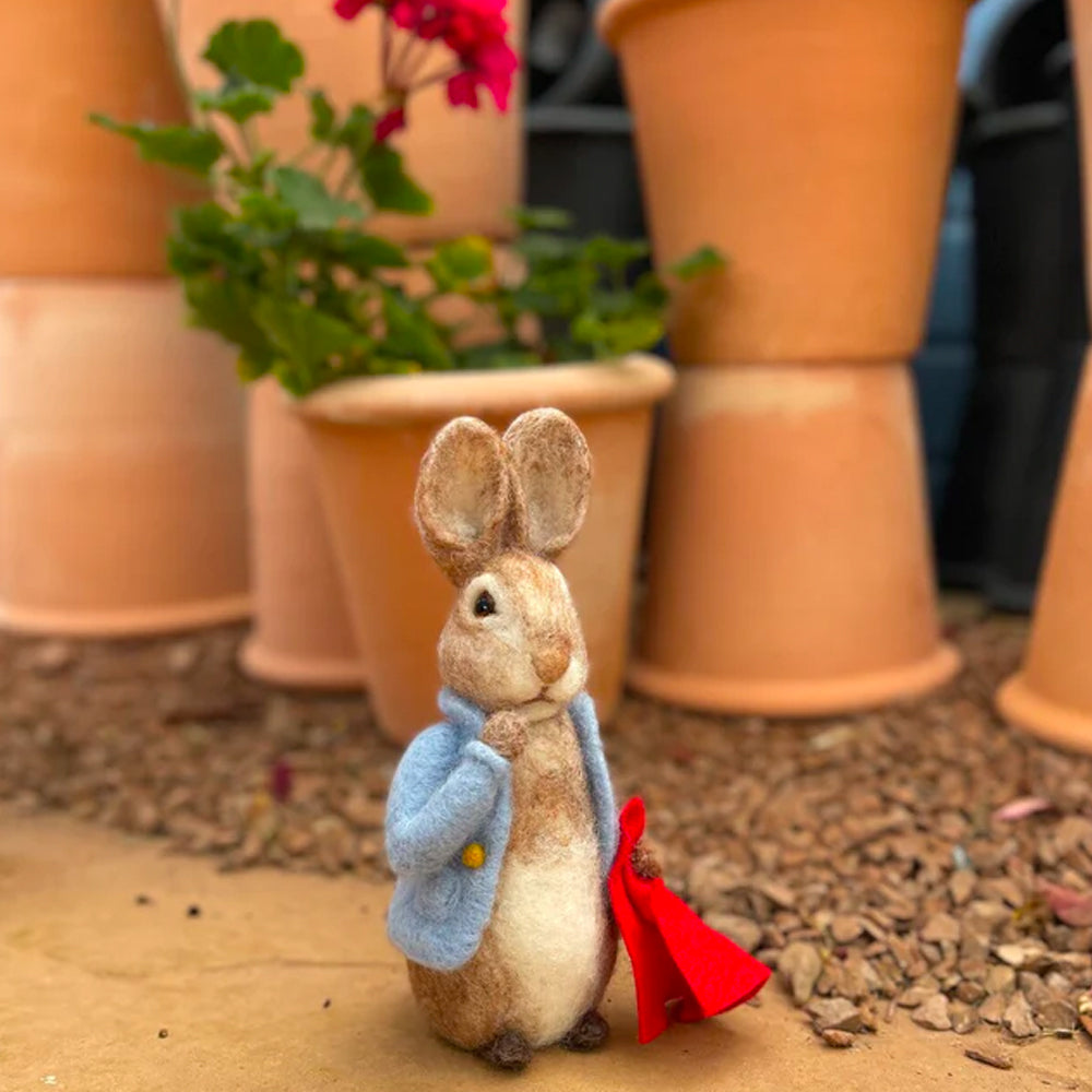 Crafty Kit Company Peter Rabbit and his Pocket Handkerchief Needle Felting Kit