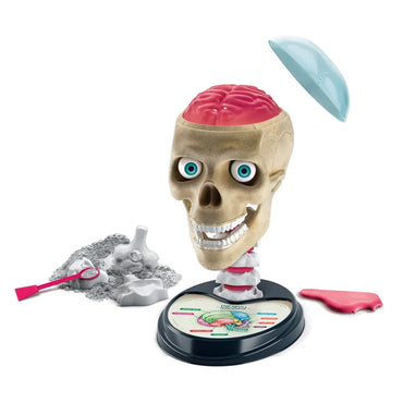 Clementoni Science & Play Lab: Crazy Anatomy Biology STEM Set Age 8+