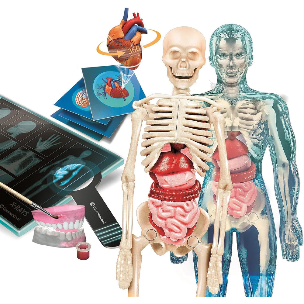 Clementoni Science & Play Lab: Super Anatomy Age 8+ STEM Toy