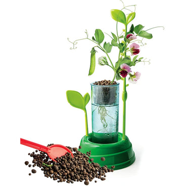 Clementoni Science & Play Lab: Discover Hydroponics STEM Set Age 8+