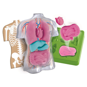Clementoni Science & Play Lab: Squishy Anatomy STEM Set Age 7+