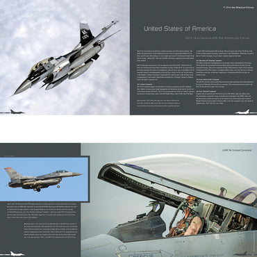 Ode to the Falcon (50 Years of the F-16 Fighting Falcon) Duke Hawkins HMH Pub.