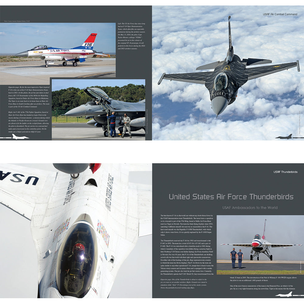 Ode to the Falcon (50 Years of the F-16 Fighting Falcon) Duke Hawkins HMH Pub.