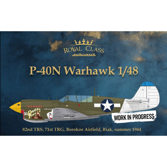 Eduard R0025 P-40N Warhawk Dual Combo Royal Class 1:48 Model Kit