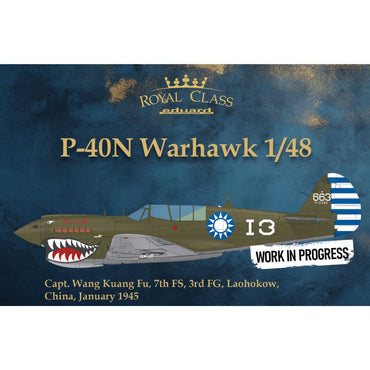 Eduard R0025 P-40N Warhawk Dual Combo Royal Class 1:48 Model Kit
