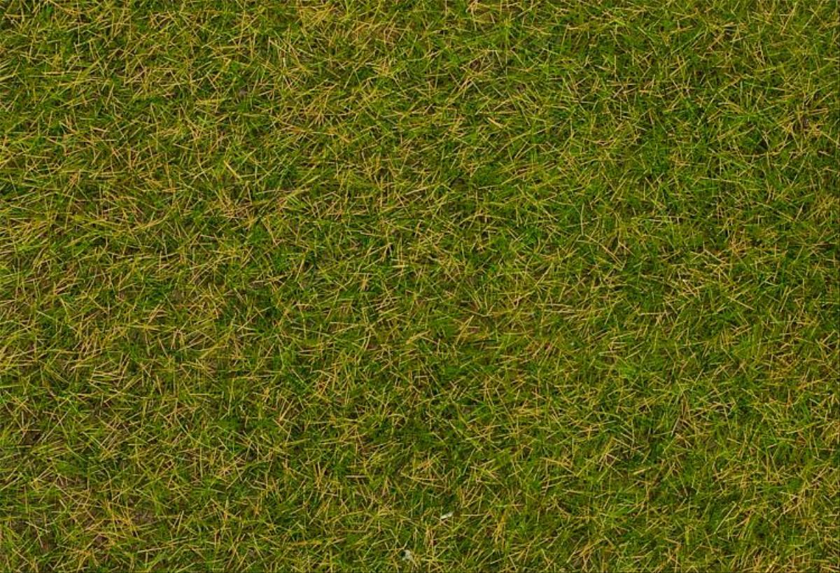 Faller 170206 Early Summer Lawn Wild Grass Fibres 4mm (30g)