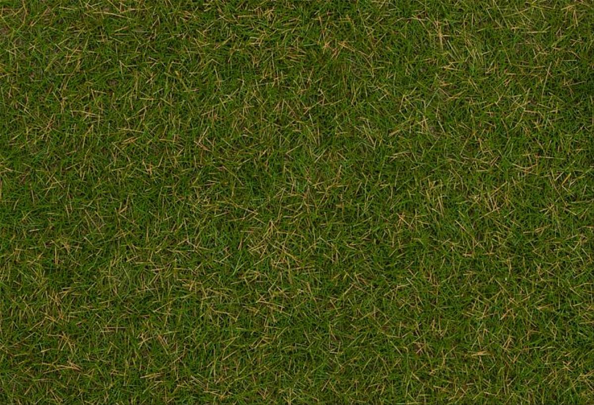 Faller 170207 Summer Lawn Wild Grass Fibres 4mm (30g)