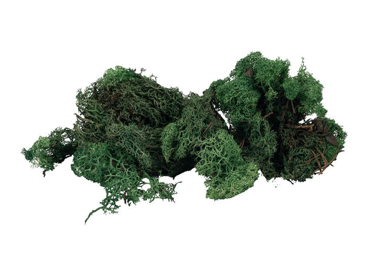 Faller 170431 Iceland Moss Green 50g