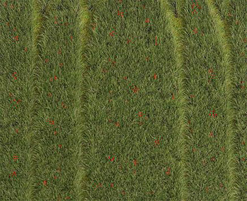 FALLER Grainfield w/ Poppies Landscape Segment 210x148x3mm HO Gauge 180458