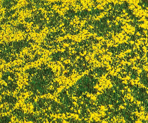 FALLER Rape Field Landscape Segment 210x148x6mm HO Gauge 180463