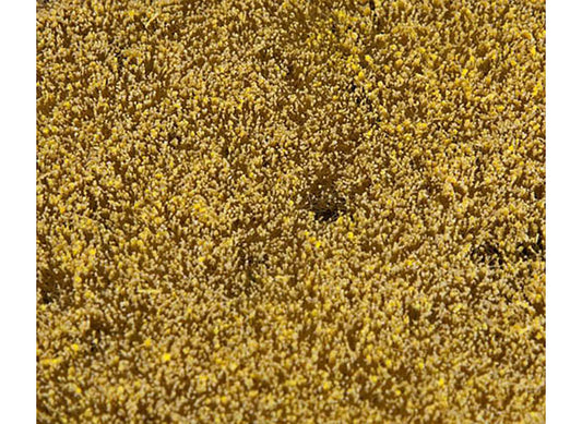 FALLER Cereal Field Landscape Segment 210x148x3mm HO Gauge 180466